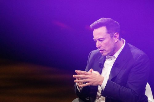 Elon Musk's "Cage Fight" Challenge