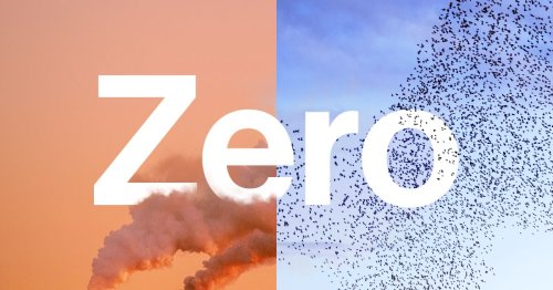 Zero | A Podcast From Bloomberg Green