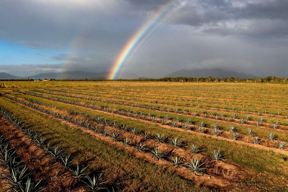 Six Small Ways to Turn Climate Anxiety Into Positive Action