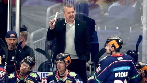 Eisbären-Coach Aubin: Playoffs eine Achterbahn der Gefühle