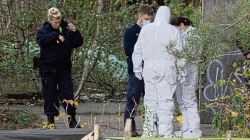 Rumäne erschlägt Freundin mit Metallrohr und vergräbt Leiche im Sand