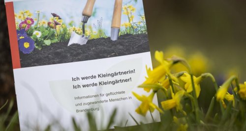 Brandenburg will Flüchtlinge durch Kleingarten-Projekt besser integrieren