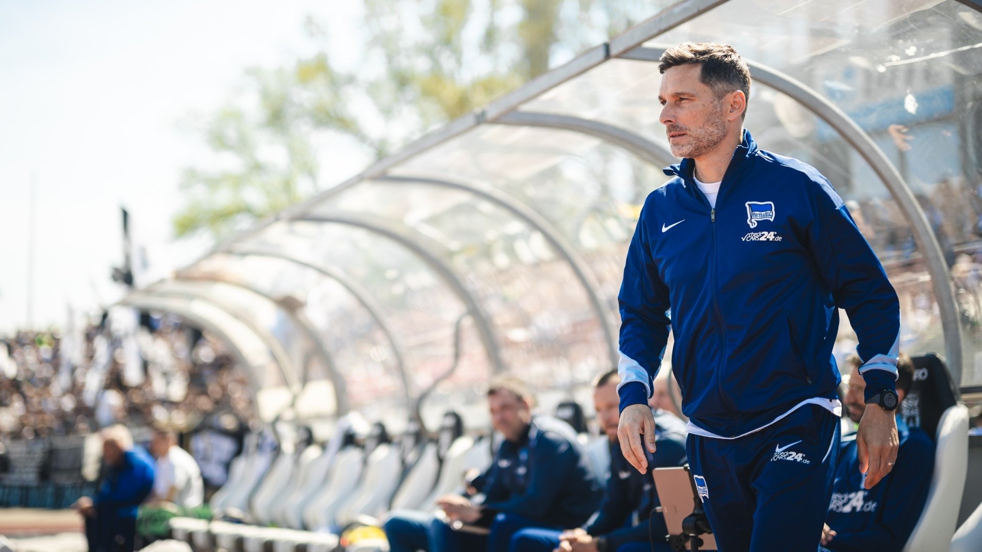 Hertha BSC cover image