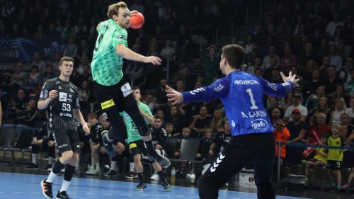 Füchse hadern mit Chancenverwertung und Keeper Landin