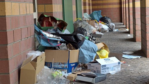 Zwischen Ratten und Abfällen – Berlin versinkt im Müll