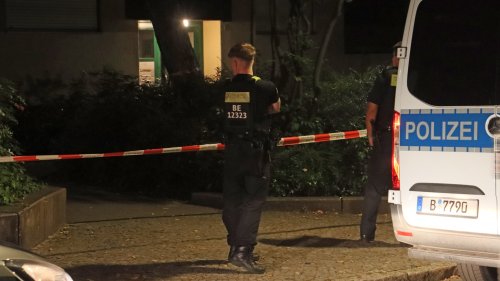 Über DIESE Zahlen zu Gewalt spricht keiner!