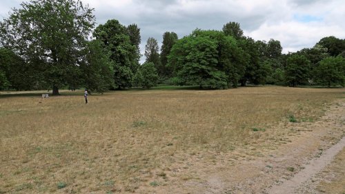 Dürre-Alarm! Berlin und Brandenburg trocknen langsam aus