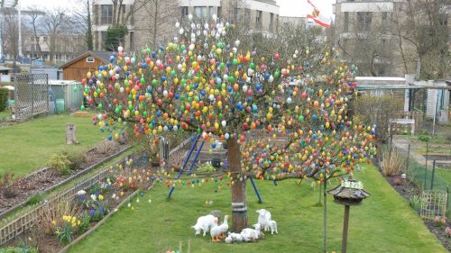 Zeigen Sie uns Berlins Super-Eierbaum!