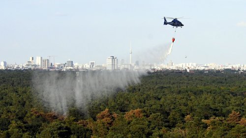 Jetzt sind endlich auch Hubschrauber im Grunewald im Einsatz