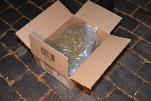 Falsch geparkt! Drogendealer mit 60 Kilo Marihuana aufgeflogen