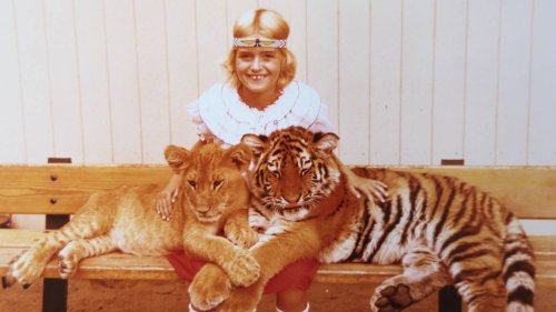 Als Berliner Kinder in Zoo und Tierpark noch mit echten Löwenbabys posierten