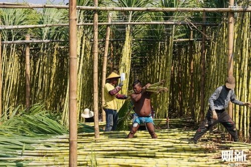Gallery: Burmese Refugees Flee War to Toil in China