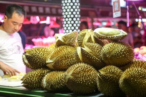 First Harvest of Chinese Durians to Hit the Market in June