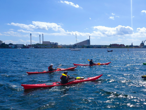 Navigating Life’s Waters: An Expert Sailor’s Story | Thad Rice’s Portfolio