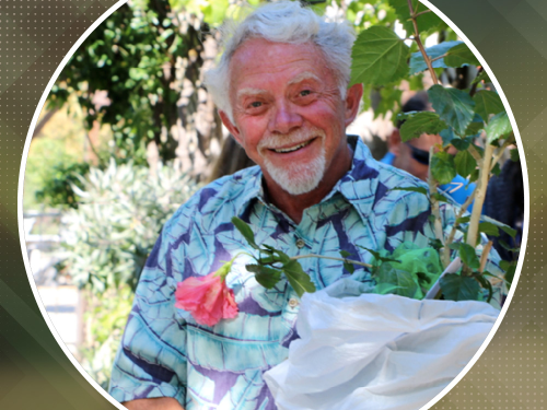Transform Your Sleep to Balance Your Hormones | Harvey Kryger’s Portfolio