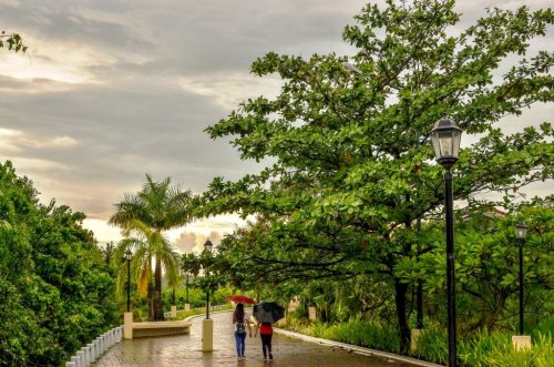 Everything You Need to Know About Iloilo City's Sustainable Tree Park Network