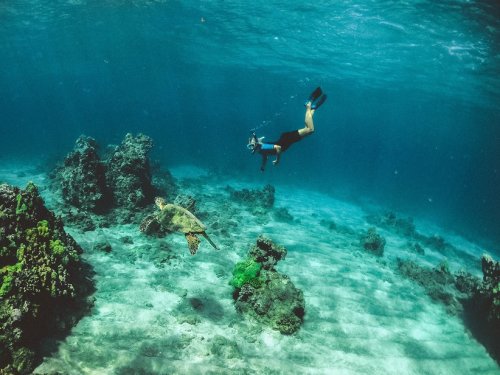 Leyte's Top Diving Destinations Near Camella in Leyte Properties