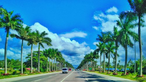Tagum City: Why it is the "Palm City of the Philippines"