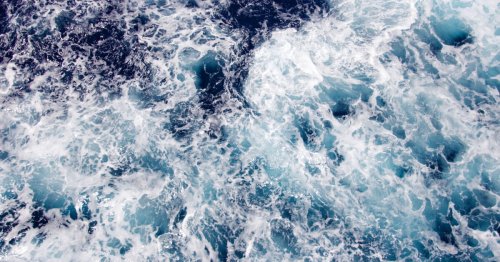 Découverte de 5000 nouvelles espèces dans le fond de l'océan, un record