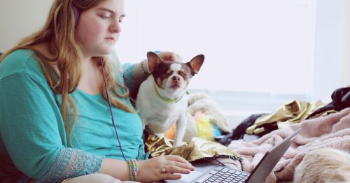Pourquoi les chiens ont-ils peur de la série "Severance" ?