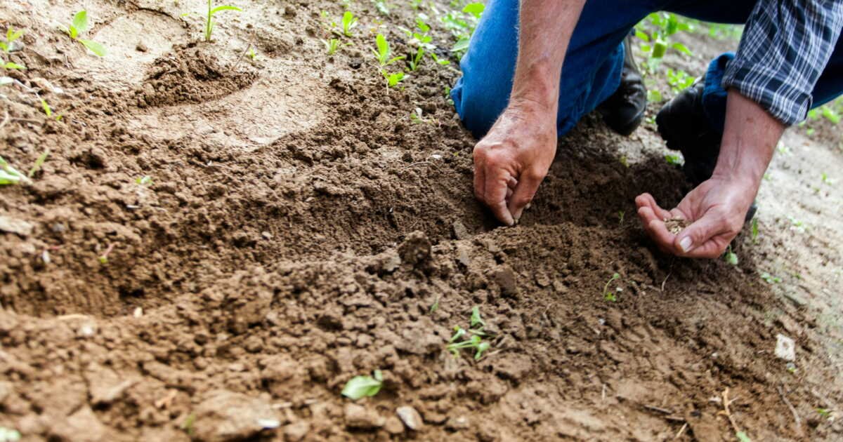 Ce pays est le seul au monde à produire toute la nourriture dont il a besoin