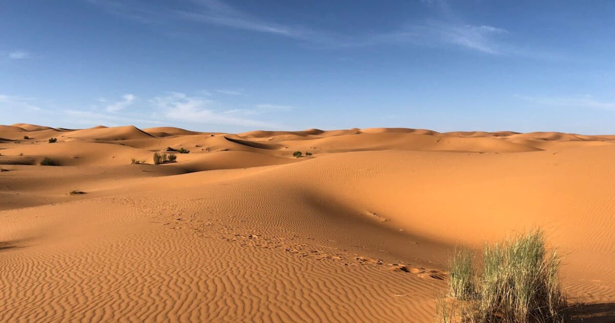 Les particularités du Sahel et du Sahara