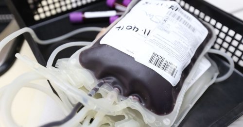Comment prendre rendez-vous pour un don de sang ?