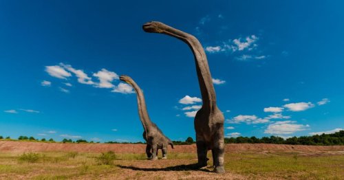 "Un titan" : un dinosaure géant jamais vu auparavant découvert en Espagne