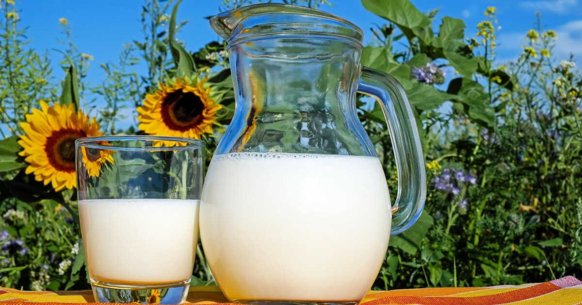 Sujet : Soja, amande, avoine… Quel lait végétal est le plus intéressant nutritivement ?