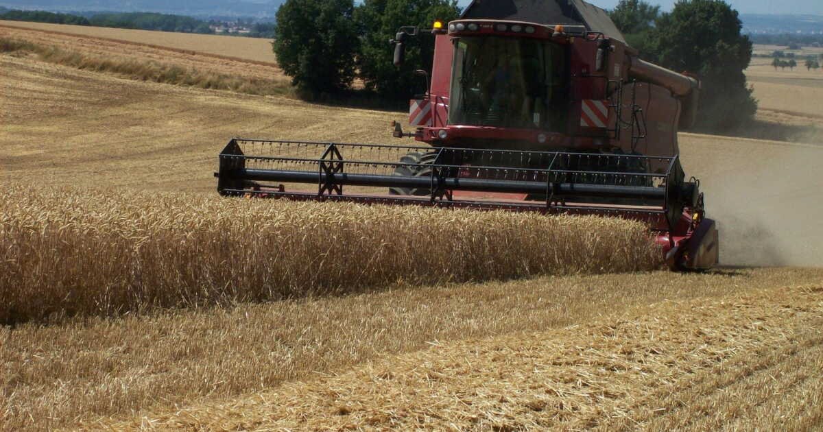 Quelle est la différence entre moisson et fenaison ?