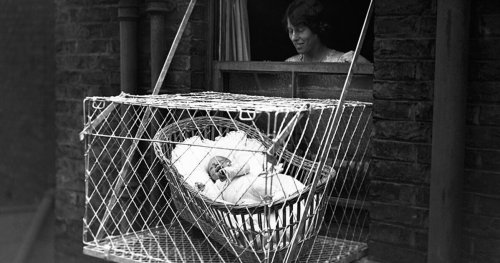 Cages à bébés : connaissez-vous cette étrange pratique des années 1930 ?