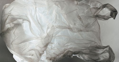 Les sacs biodégradables sont en fait plus toxiques que les sacs plastiques "classiques"