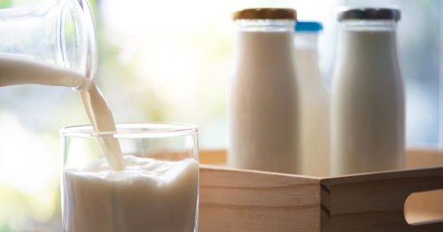 Boire du lait réduirait-il le risque de cancer ? Voici ce que dit la science !