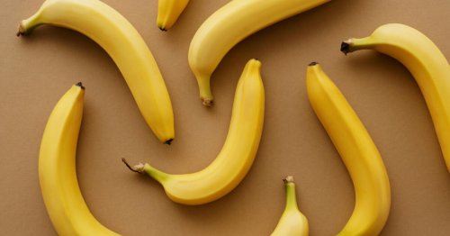 Anatomie : voici les différentes formes de pénis