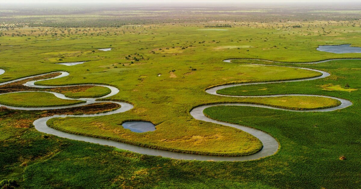 Ce fleuve est si grand qu’il traverse 10 pays !