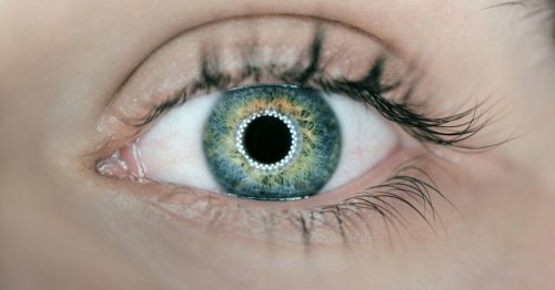 "Olo" : pourquoi cette nouvelle couleur découverte par la science ne peut-elle pas être vue par l'œil humain ?
