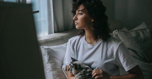 Votre chat aime dormir sur vous la nuit ? On vous explique la raison !