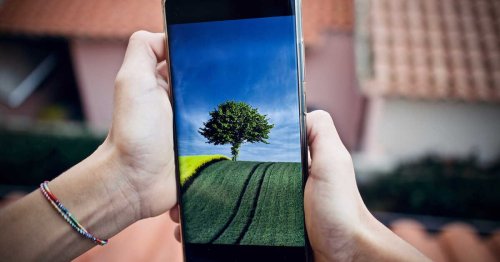 Comment récupérer les photos supprimées sur WhatsApp ?