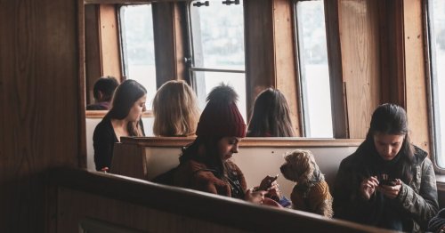 Voyage en avion : comment se passe un vol en soute pour un chien ou un chat ?