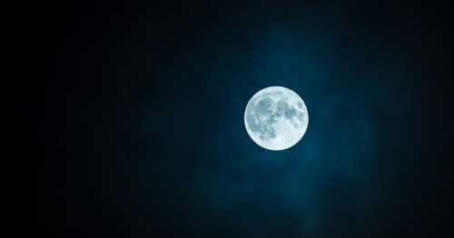 Le célèbre plasticien Jeff Koons expose son art sur la Lune