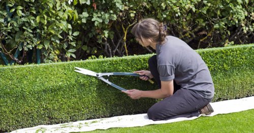 Quel est le prix moyen d'une heure de jardinage ?