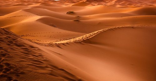 Climats extrêmes : une expédition scientifique envoie 19 volontaires dans un désert de 50 °C