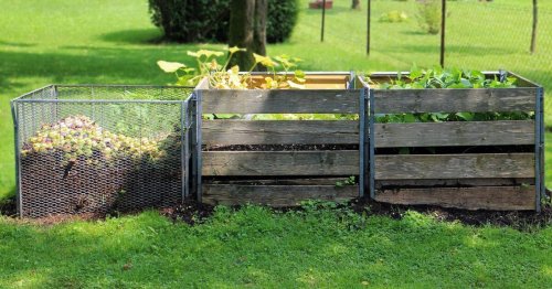 Jardin : voici pourquoi il faut éviter de jeter vos tontes de pelouse dans le compost