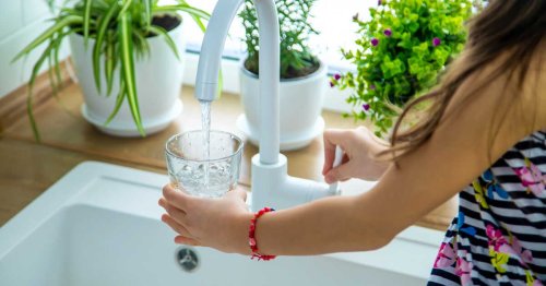 Filtrer l’eau du robinet : 6 solutions au banc d’essai
