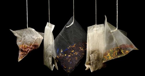 Ne jetez plus vos sachets de thé : voici comment les utiliser pour votre jardin