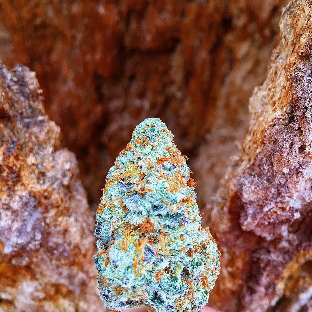 Indica | Cannabis Flower | Buy Indica Online cover image