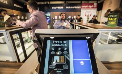 Cannabis-Legalisierung: Von Kanada lernen?