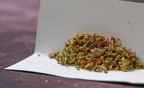 So könnte eine Legalisierung von Cannabis aussehen