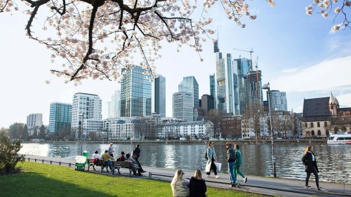Kaufpreise und Bauzinsen: 5 Regeln für den Immobilienmarkt 2025