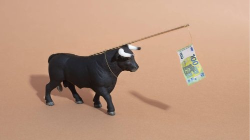 Wer ist die Partei der Aktionäre?